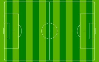 乐鱼电竞在线平台-国足主场比赛战术布置与得分模型关联，国足阵容战术
