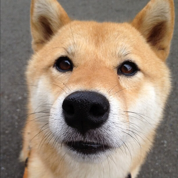 国足体能消耗与恢复周期分析，国足体力