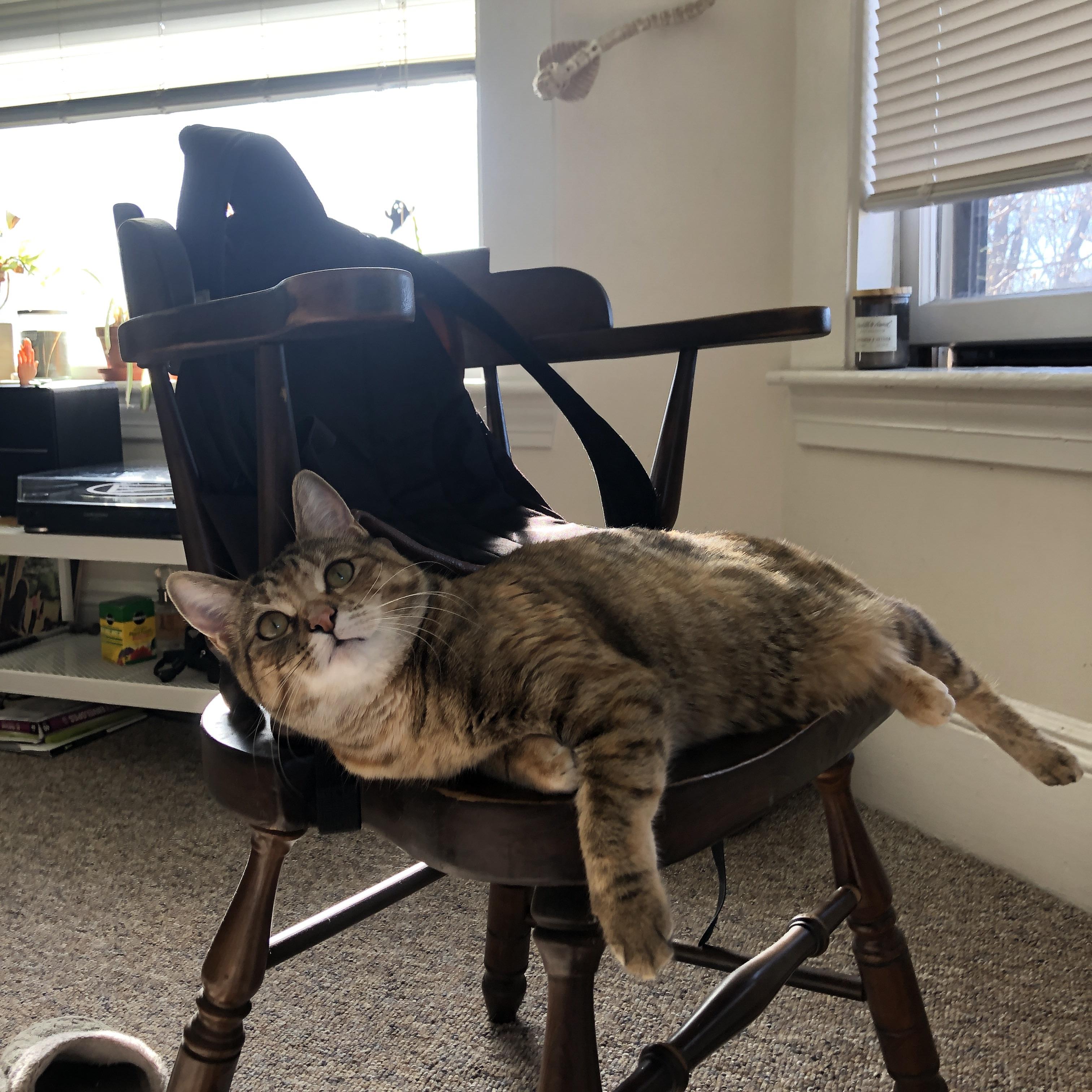 乐鱼体育平台app下载-LCK季后赛名额之争白热化比赛观赏性极强