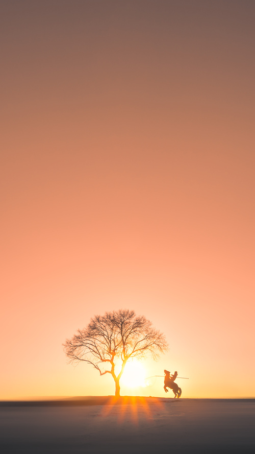 奥运代表团亮相仪式庄严隆重，奥运会参赛代表团