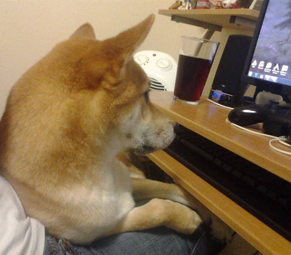 拜仁人盯人+区域混合防守成功遏制博卡进攻，拜仁 humanrace