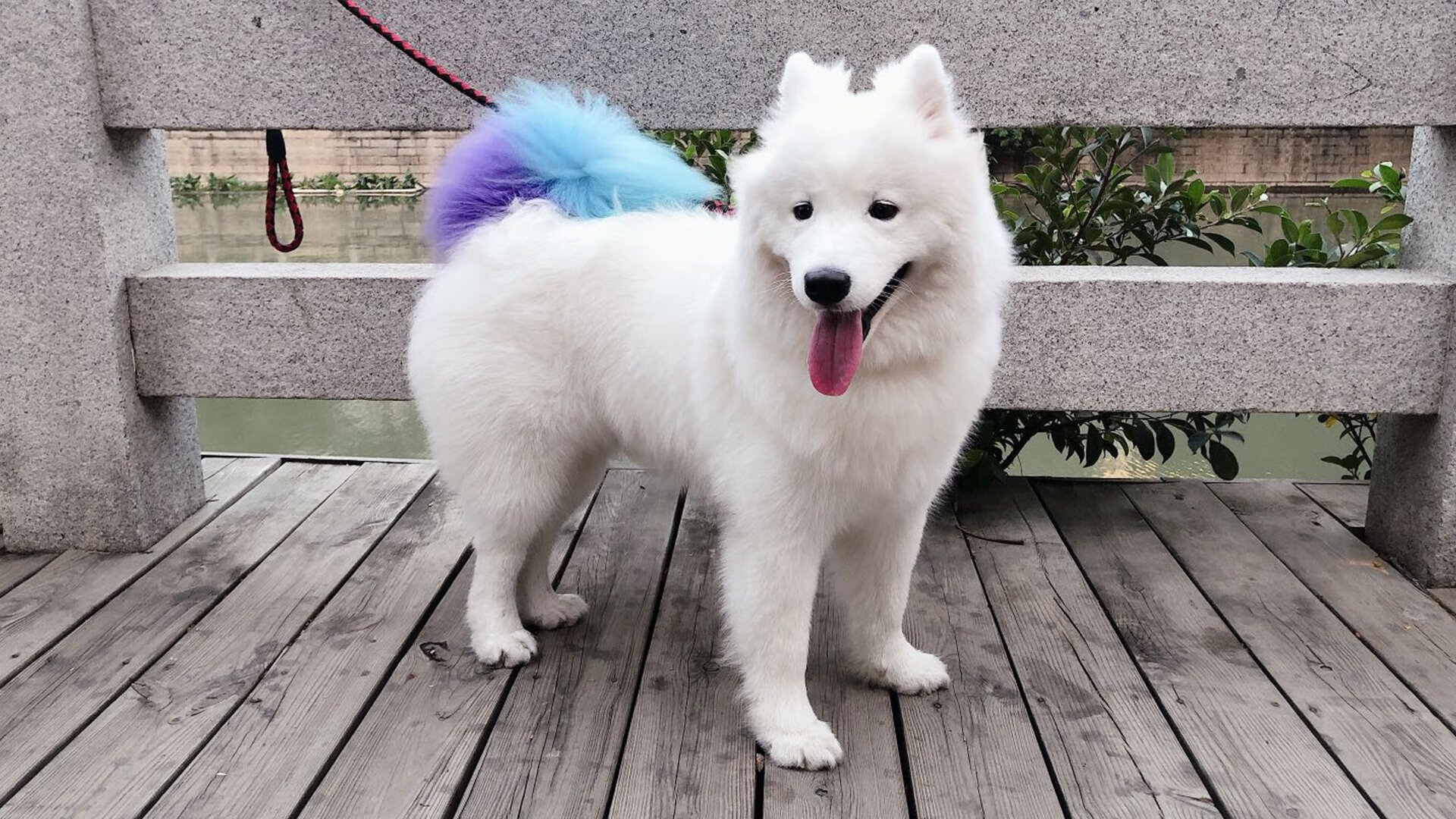 Leyu Sport登录入口-数据曲线：美选手节奏更依赖爆发点调整，数据曲线app