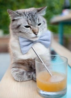 乐鱼电竞在线平台-世界杯精彩夜：激情无限，燃烧团魂！，世界杯精彩片段视频