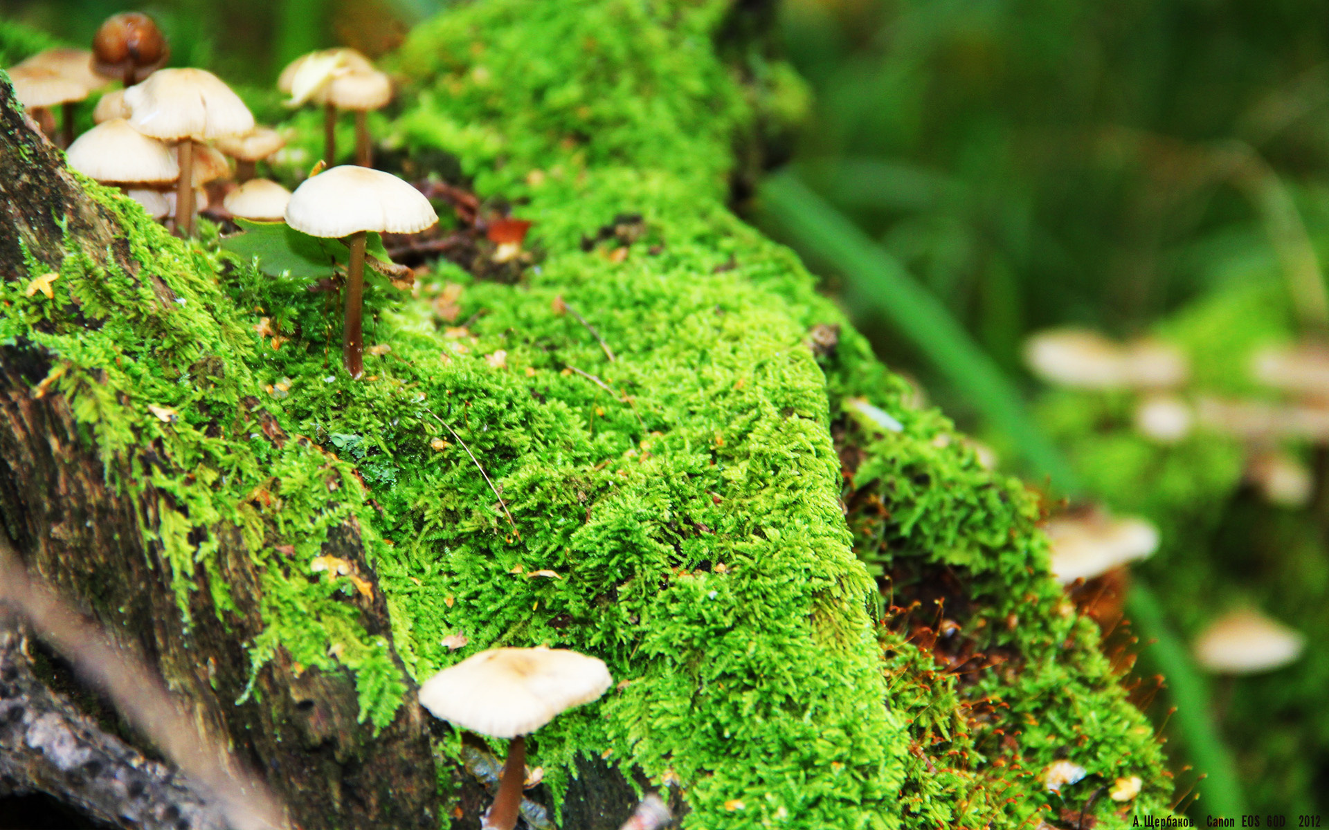 中国足球青少年足球赛事管理规范日益完善，中国足球青少年足球队