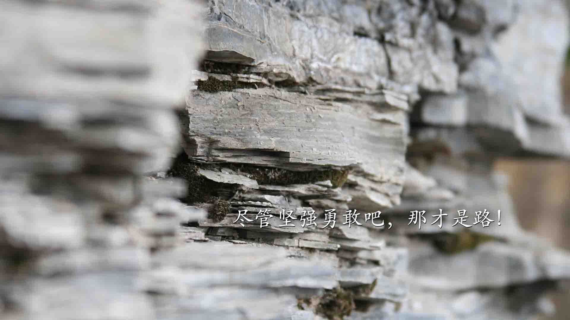 希腊男篮在欧洲锦标赛中多次夺冠，传承传统强队荣耀，希腊男子篮球联赛