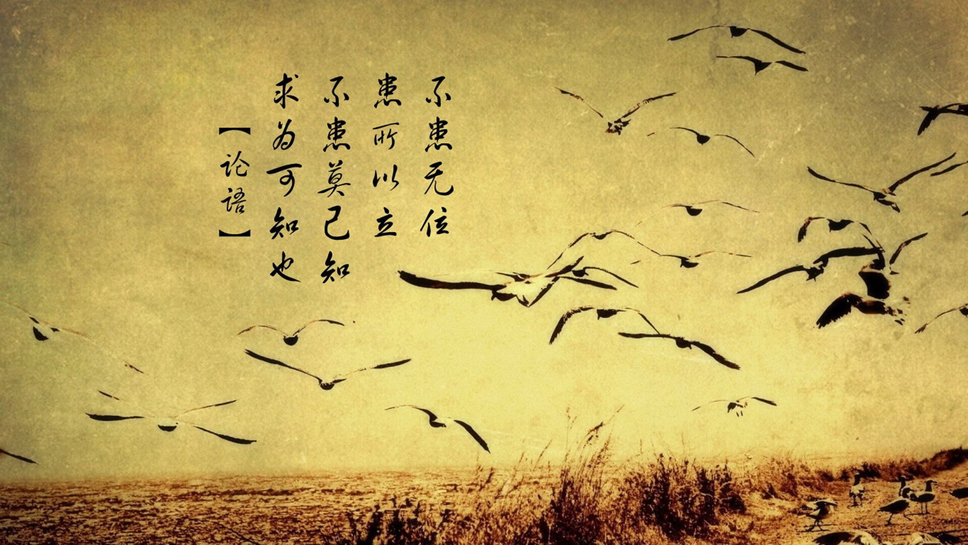 Leyu Sport下载-恩多比·恩乔引领南非队攻城拔寨，挑战世界冠军，恩多牧业官网