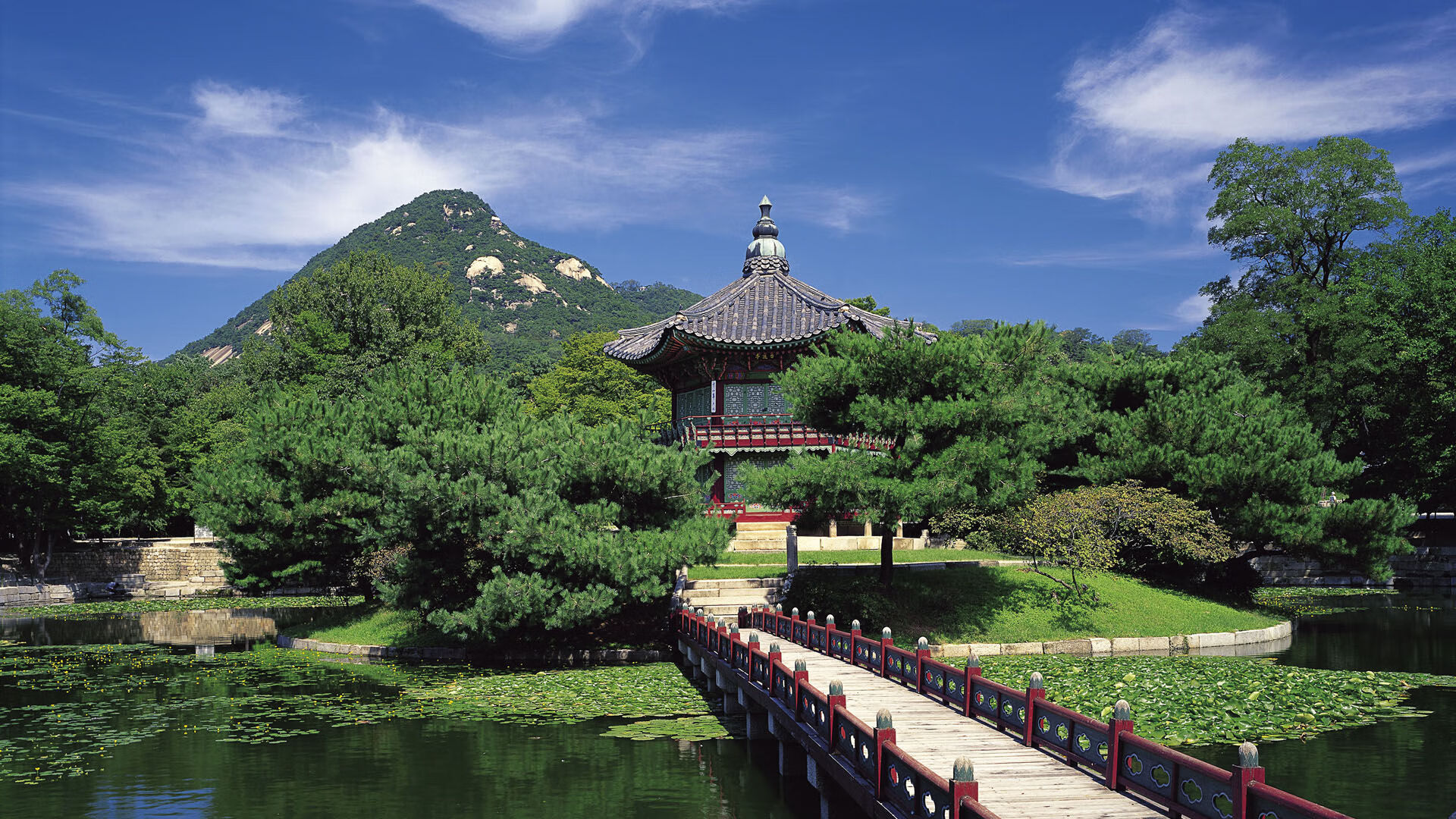 核心中场持续发力成为进攻与防守之间的重要桥梁，中场核心穿几号